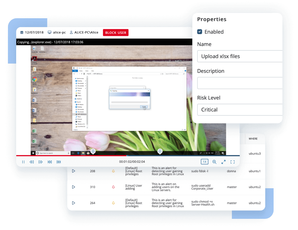 Insider threat prevention software