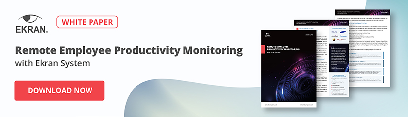 Whitepaper on productivity monitoring